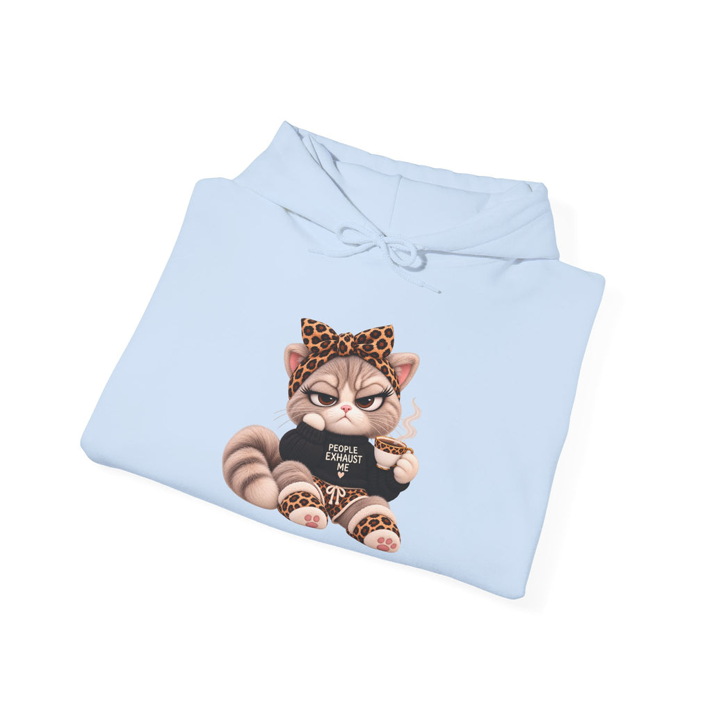 Plushitude Raccoon Hoodie — Cute Grumpy Raccoon Graphic Hooded Sweatshirt