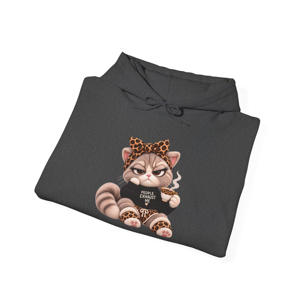 Plushitude Raccoon Hoodie — Cute Grumpy Raccoon Graphic Hooded Sweatshirt