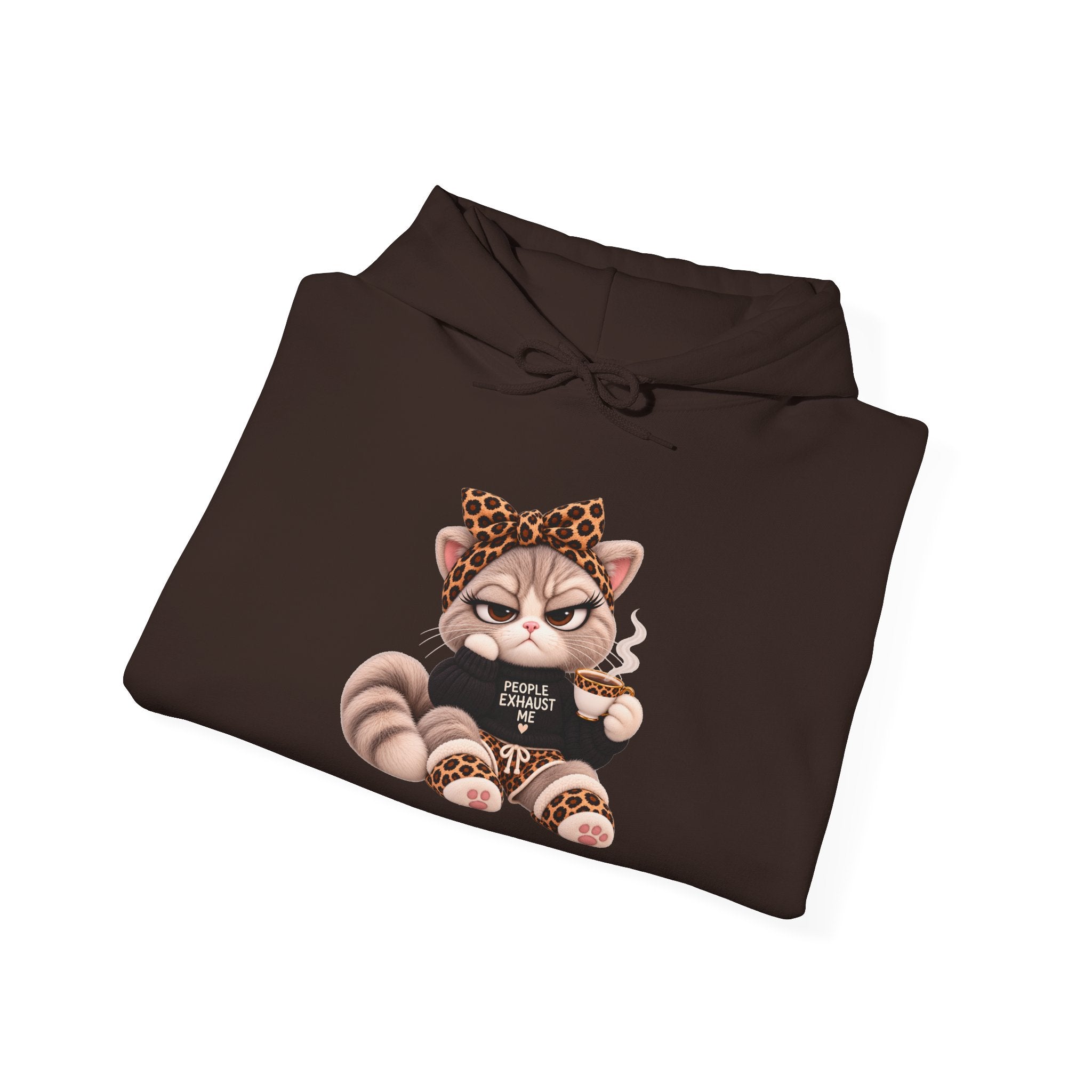 Plushitude Raccoon Hoodie — Cute Grumpy Raccoon Graphic Hooded Sweatshirt