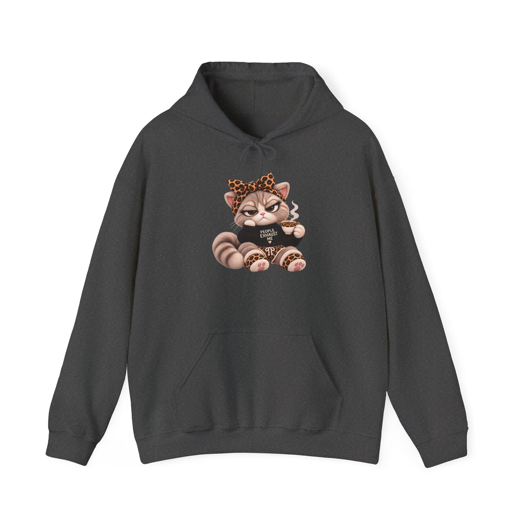 Plushitude Raccoon Hoodie — Cute Grumpy Raccoon Graphic Hooded Sweatshirt