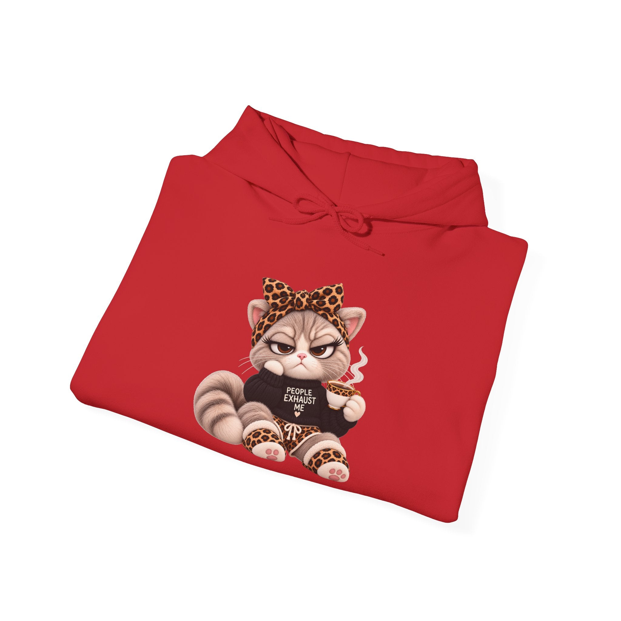 Plushitude Raccoon Hoodie — Cute Grumpy Raccoon Graphic Hooded Sweatshirt