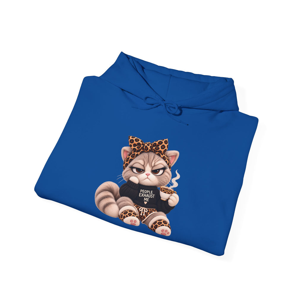 Plushitude Raccoon Hoodie — Cute Grumpy Raccoon Graphic Hooded Sweatshirt