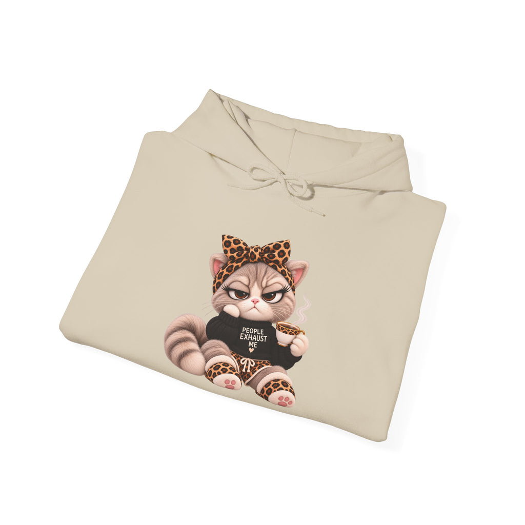 Plushitude Raccoon Hoodie — Cute Grumpy Raccoon Graphic Hooded Sweatshirt