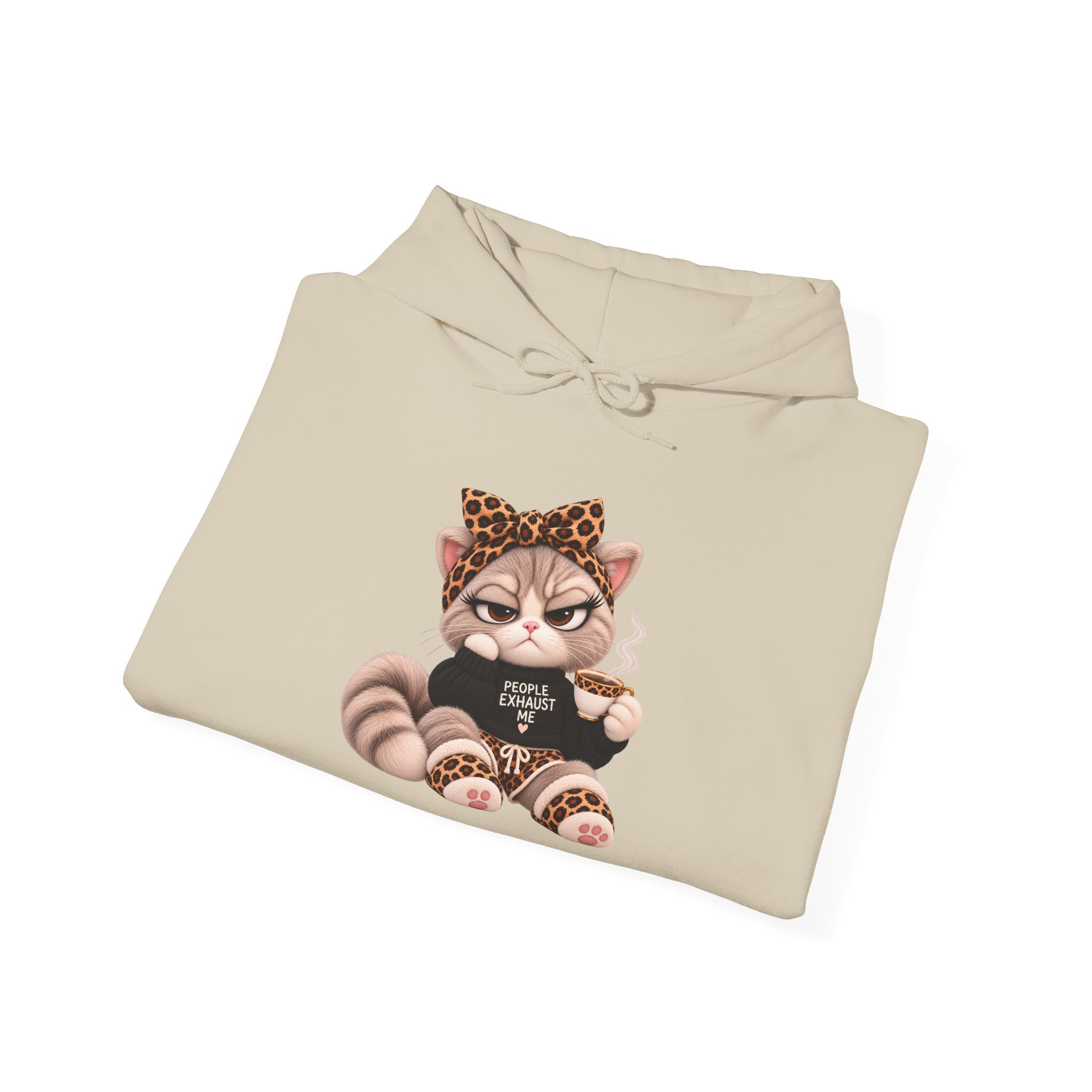 Plushitude Raccoon Hoodie — Cute Grumpy Raccoon Graphic Hooded Sweatshirt