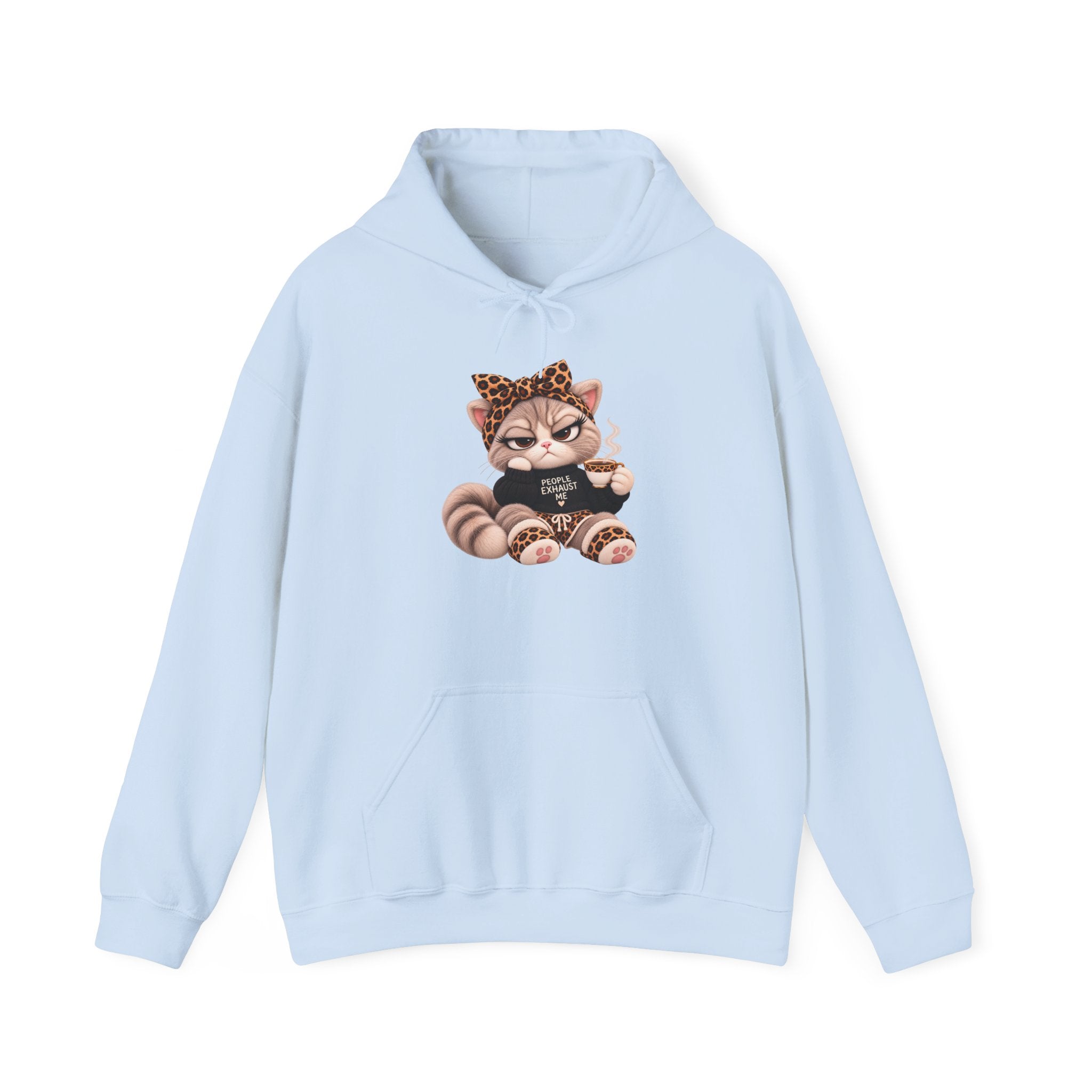 Plushitude Raccoon Hoodie — Cute Grumpy Raccoon Graphic Hooded Sweatshirt