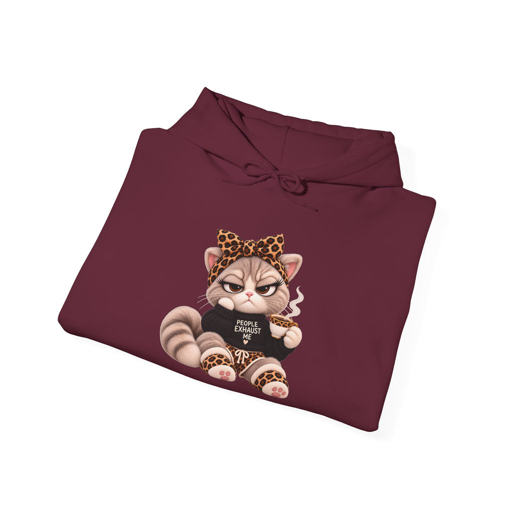 Plushitude Raccoon Hoodie — Cute Grumpy Raccoon Graphic Hooded Sweatshirt