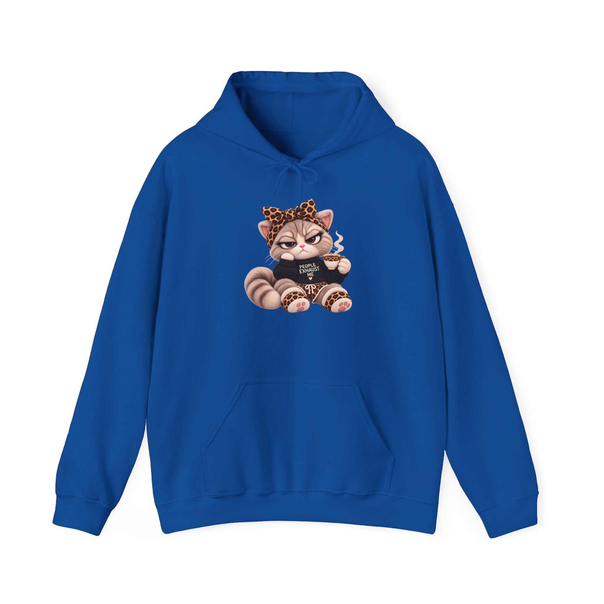 Plushitude Raccoon Hoodie — Cute Grumpy Raccoon Graphic Hooded Sweatshirt
