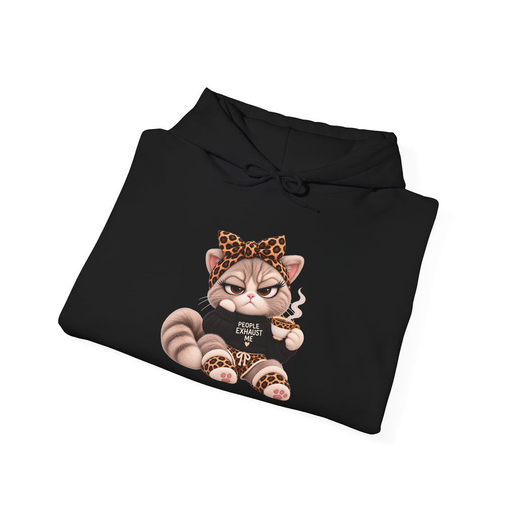 Plushitude Raccoon Hoodie — Cute Grumpy Raccoon Graphic Hooded Sweatshirt
