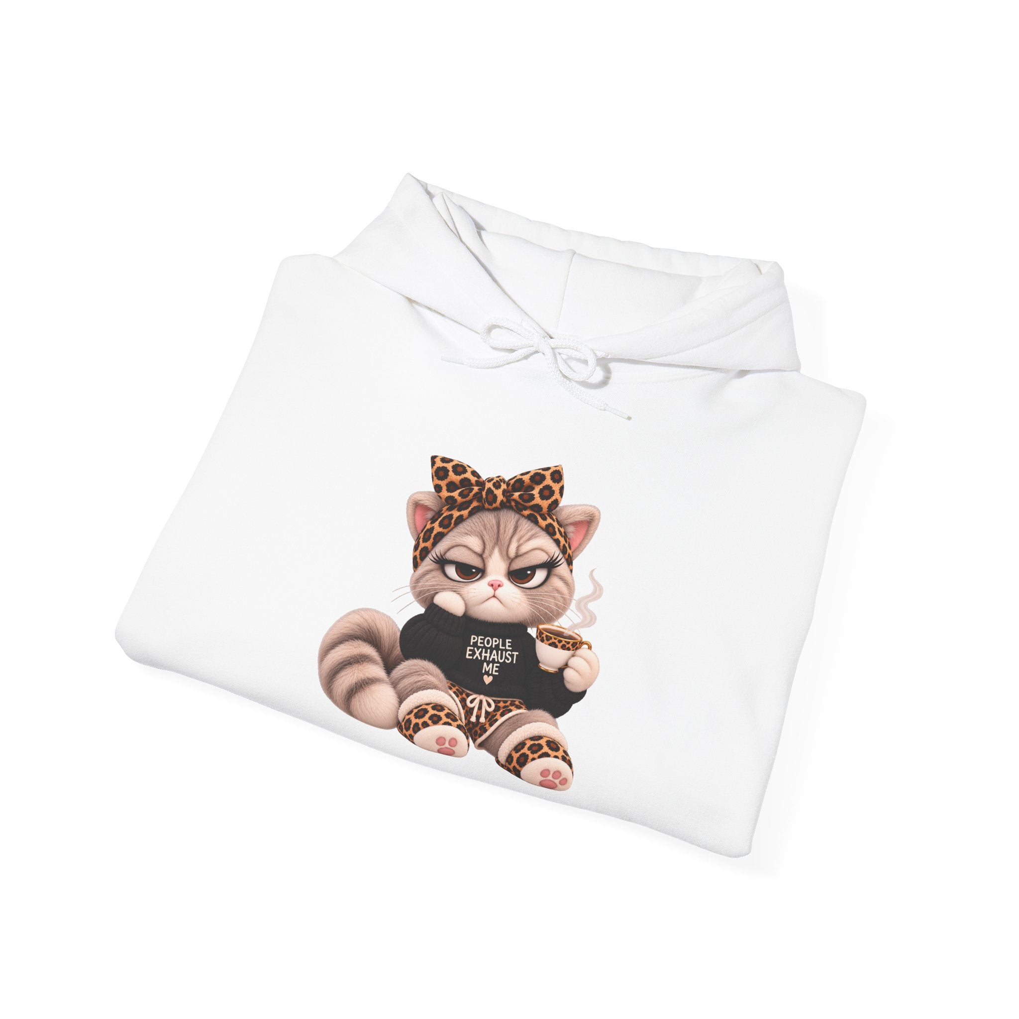 Plushitude Raccoon Hoodie — Cute Grumpy Raccoon Graphic Hooded Sweatshirt